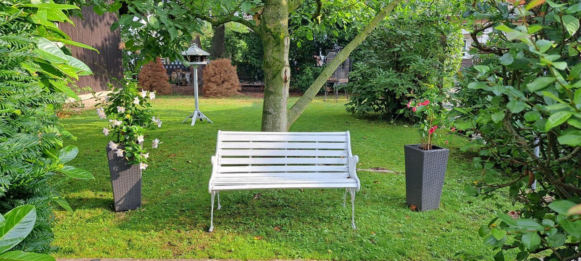 Appartement An Der Tanne Mit Ueberdachter Terrasse *